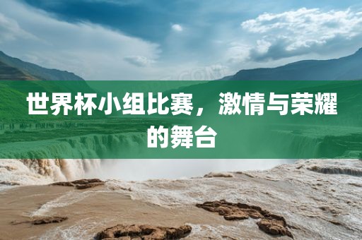 世界杯小组比赛，激情与荣耀的舞台
