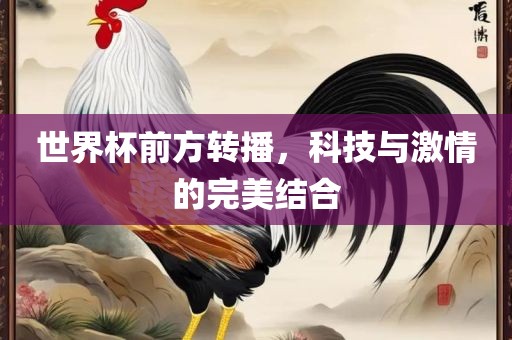 世界杯前方转播，科技与激情的完美结合