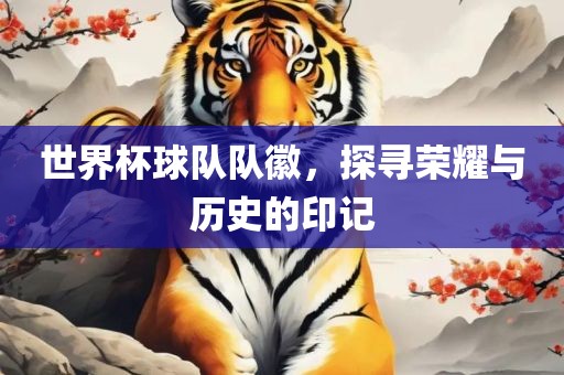 世界杯球队队徽，探寻荣耀与历史的印记