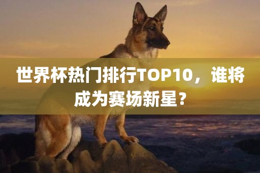 世界杯热门排行TOP10，谁将成为赛场新星？