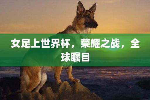 女足上世界杯，荣耀之战，全球瞩目