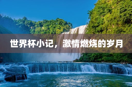 世界杯小记，激情燃烧的岁月