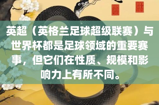 英超（英格兰足球超级联赛）与世界杯都是足球领域的重要赛事，但它们在性质、规模和影响力上有所不同。