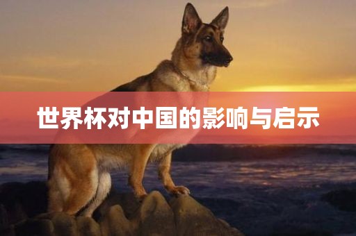 世界杯对中国的影响与启示