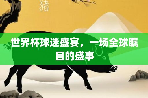 世界杯球迷盛宴，一场全球瞩目的盛事